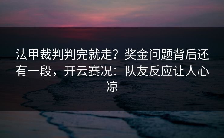法甲裁判判完就走？奖金问题背后还有一段，开云赛况：队友反应让人心凉
