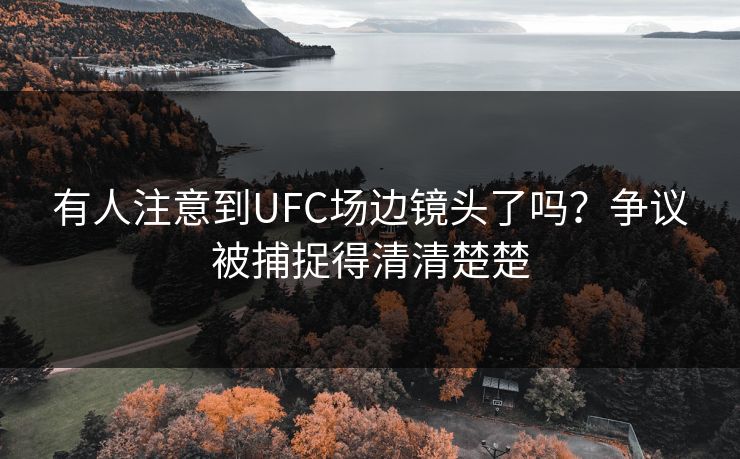 有人注意到UFC场边镜头了吗？争议被捕捉得清清楚楚